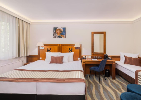 CARLTON HOTEL BUDA CASTLE 7