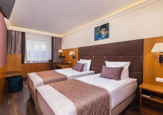 CARLTON HOTEL BUDA CASTLE 8