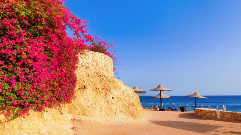Atpūta Šarm eš Šeihā 5* IL MERCATO HOTEL!